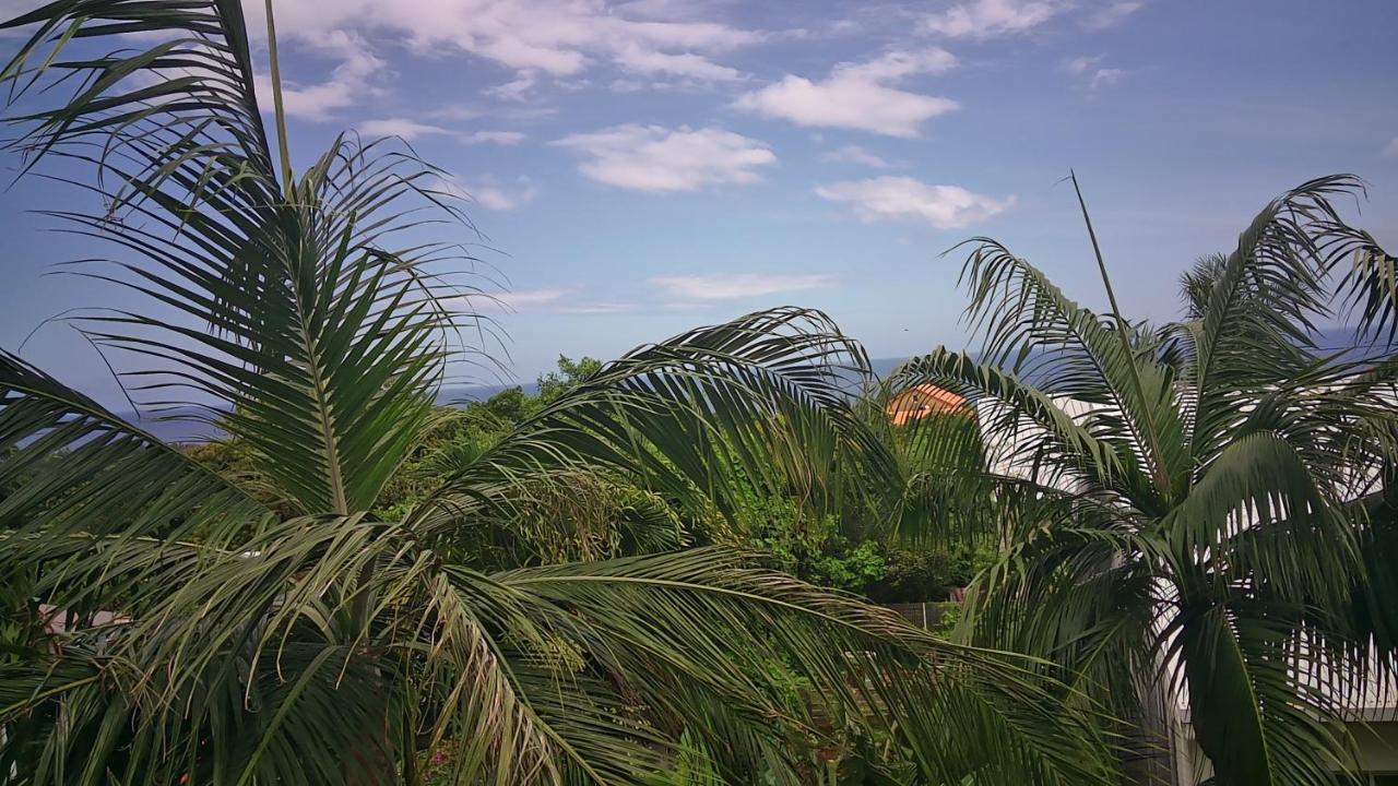 Un Petit Coin De Paradis A La Reunion سانت-جوزيف المظهر الخارجي الصورة